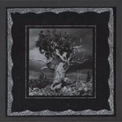 Pussygutt : Sea of Sand